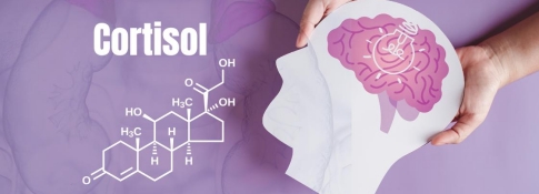 El cortisol y la química