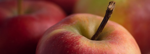 Manzana, alimentación y su influencia en los exámenes de Selectividad
