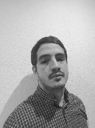 Claudio Alfonzo Castillo, profesor particular en Madrid