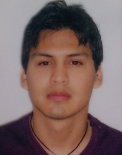 Henry Delgado Bentacourt, profesor particular en Madrid